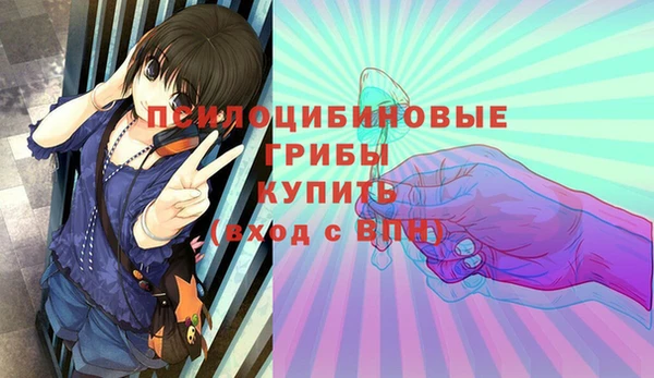 спайс Алзамай