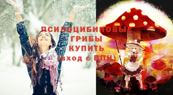 спайс Алзамай