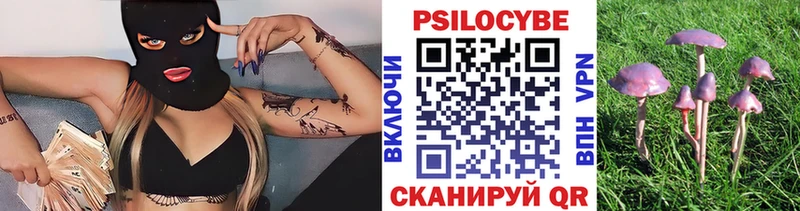 MEGA онион  Жирновск  Галлюциногенные грибы прущие грибы  где купить наркотик 