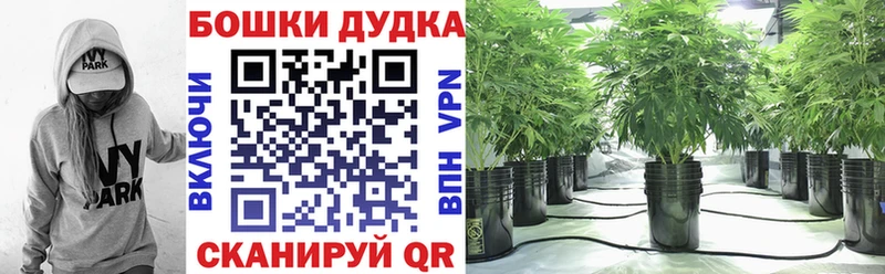 закладка  Жирновск  Марихуана THC 21% 